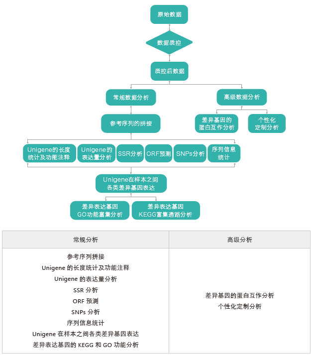 转录组测序-生信分析流程（无参）-Ebpay(中国)基因