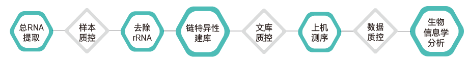 长链非编码RNA（lncRNA）测序-技术路线-Ebpay(中国)基因