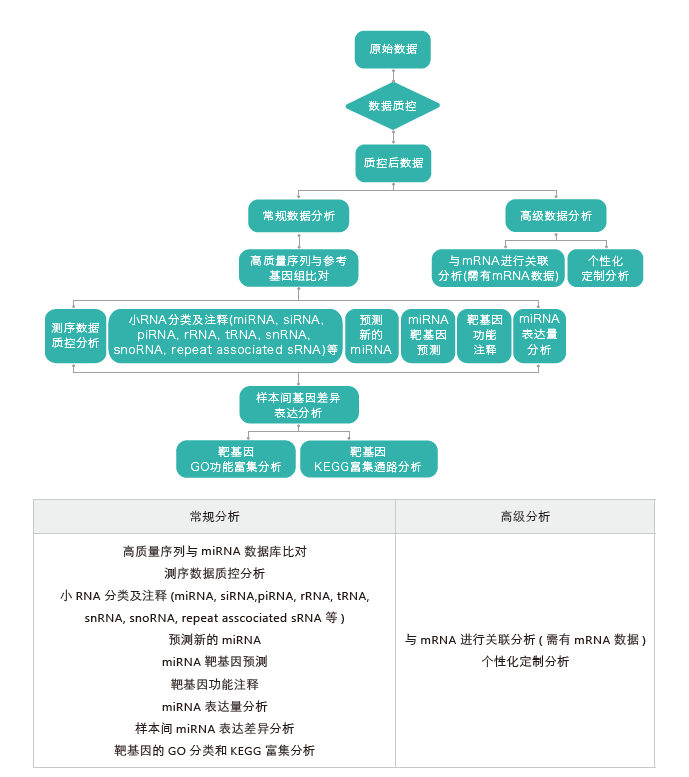 小RNA（small RNA）测序-生信分析流程-Ebpay(中国)基因