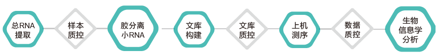 小RNA（small RNA）测序-技术路线-Ebpay(中国)基因