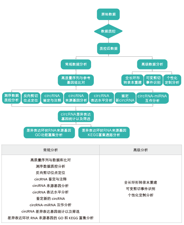 环状RNA（circRNA）测序-生信分析流程-Ebpay(中国)基因