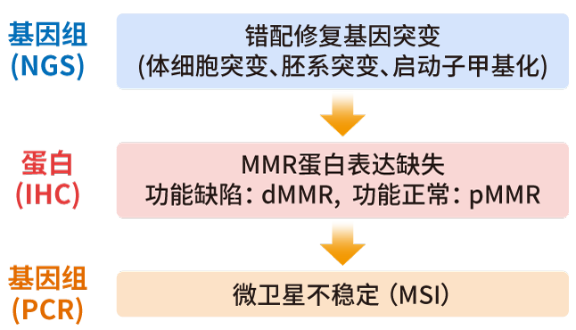 MSI/MMR检测方法_Ebpay(中国)基因